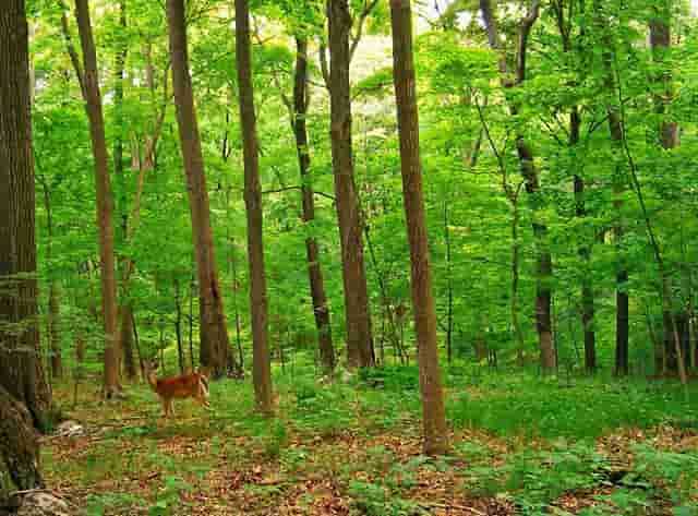 医生查体视频教程