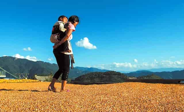 山东填报高考志愿加盟热线